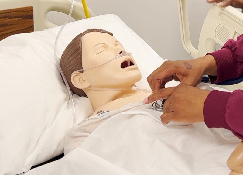 Nursing Program Simulator Manikins